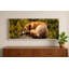Gibbs Print-1401525616-1401525634
