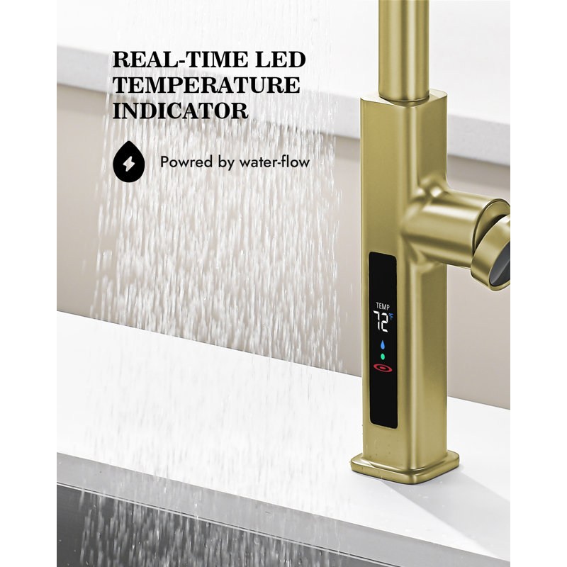 Single Handle Kitchen Faucet with Accessories, Brushed Gold