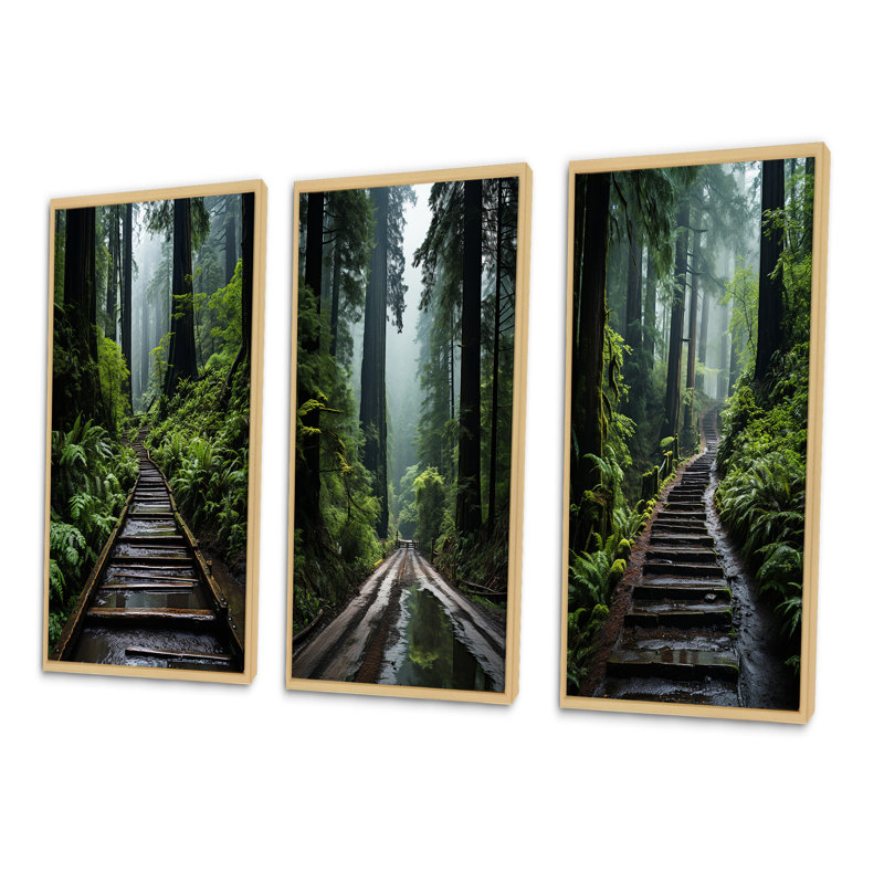 États-Unis - Monument national de Muir Woods - Ensemble de 3 pièces, Encadré naturel, H 28 po x l 36 po