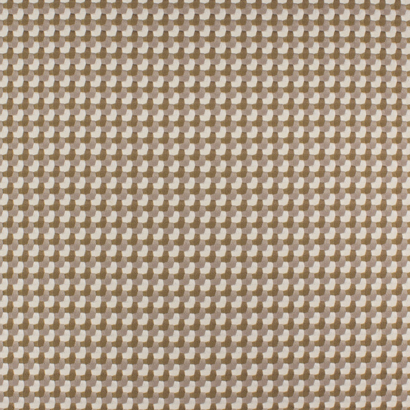 Tissu Galaad, Champignon Kelby