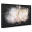 Pink Ranunculus Flower - Wrapped Canvas-56645700