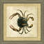Antique Crackled Crab I Painting