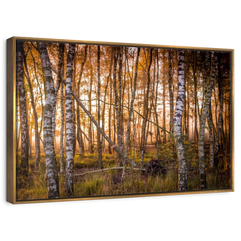 Forêt de bouleaux sombre, Cadre flottant doré, 13 po x 9 po