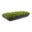 Moss 6" Artificial in Fiberstone Planter-1306162796-1306519055