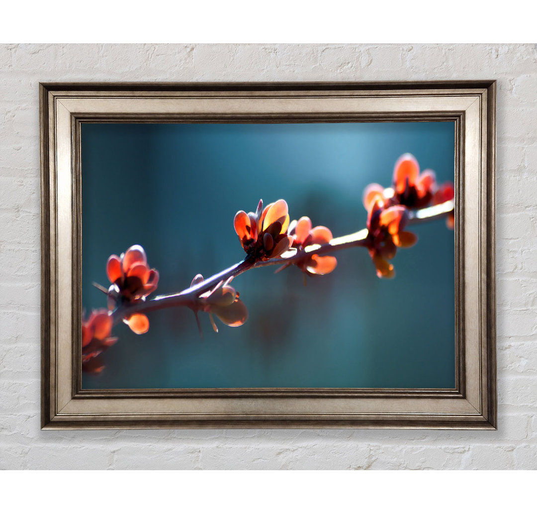 Spikey Flower Branch - Einzelner Bilderrahmen Kunstdrucke