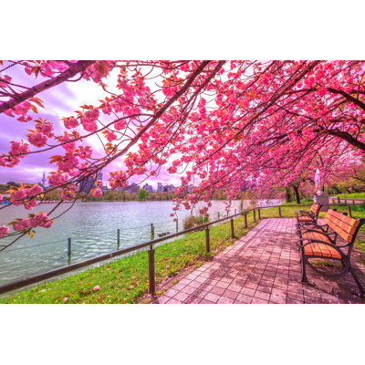 Hanami In Ueno Park by Bennymarty - Wrapped Canvas Print