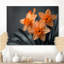 Monochromes tournesol sourire jonquilles I - jonquilles murales-1131456086-1131456047