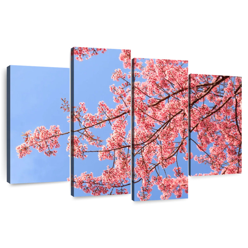 Fleurs de cerisier Harnek, H 22 po x l 36 po