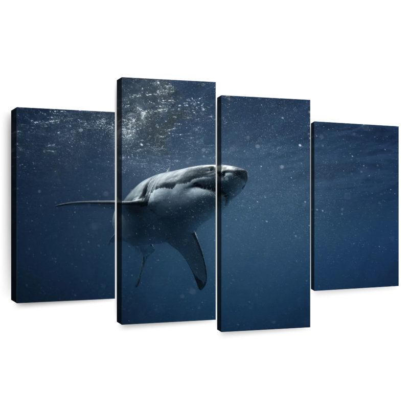 Brampt Great White Shark, 48'' H x 75'' W