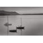 «Bellingham Bay BW» par Alan Majchrowicz - photographie sur toile tendue