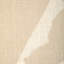 Bold Lines-1675260271