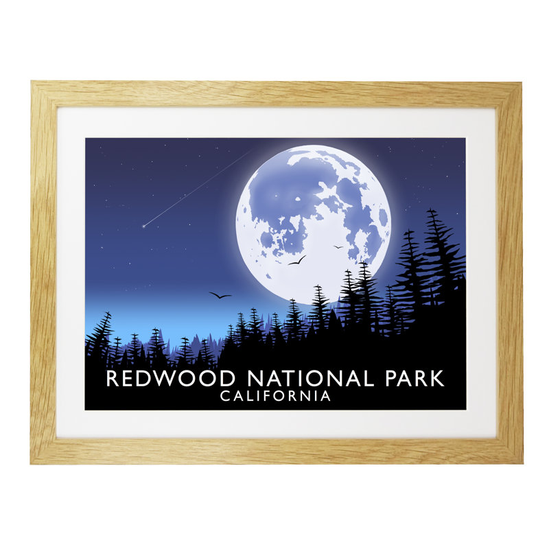 'Redwood National Park' 1 Piece Wall Art, 33.5 cm H x 43.5 cm W x 2.2 cm D, Oak Wood Frame