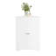 Armoire de coin blanche à 2 portes avec tablette réglable - autoportante pour salle de bain, cuisine, salon et rangement élégant