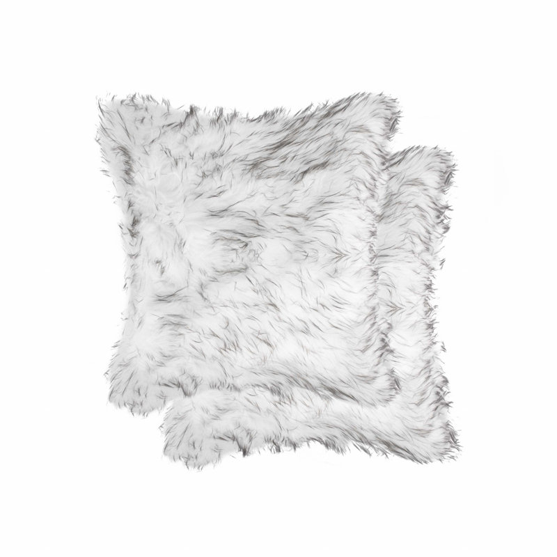 Coussin décoratif