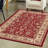 Zayandeh Oriental Area Rug in Rust-69593088