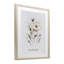 «Pressed Flowers Renew», reproduction sous verre encadrée, design par lettré et doublé-1353344839-1353344833