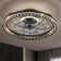 19'' Dimmable Caged Ceiling Fan with LED Lights