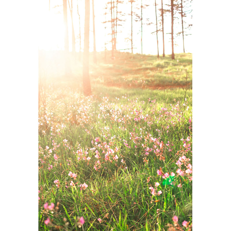 «Morning Light over Wildflowers» par Khlongwangchao - photographie sur toile tendue, L 20 po x H 30 po