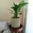 Johnmason ECOBO 13.4 inches Eco-Friendly Round Pot Planter, Linhas Indoor/Outdoor Four Season Use-1594380990