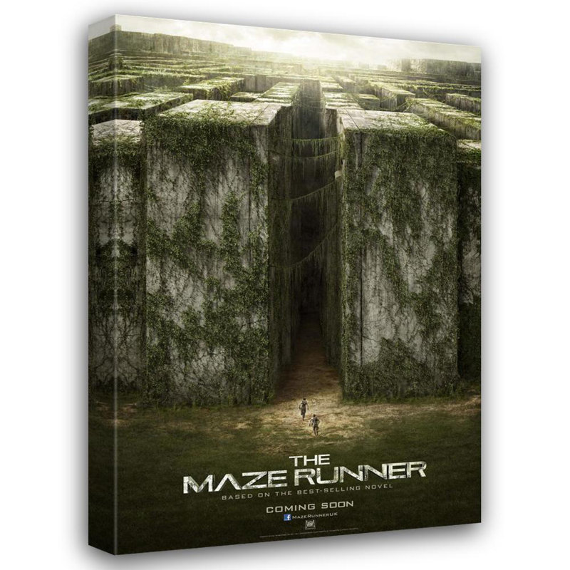 The Maze Runner, H 24 po x l 16 po