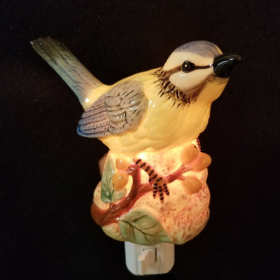 Bird Night Light