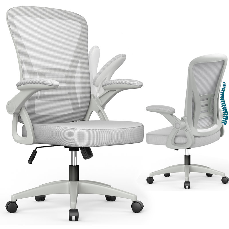 Ergonomic Mesh Office Chair, Grey