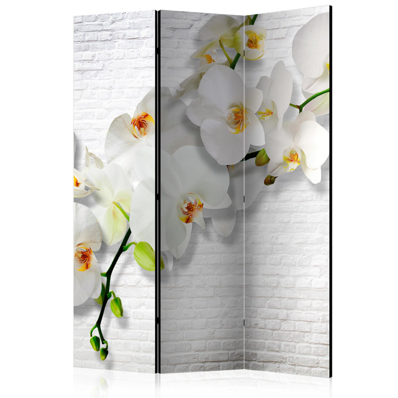 135cm W x 172cm H 3 - Panel Solid Wood Folding Room Divider