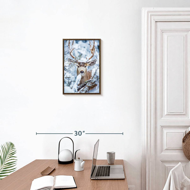 Cerf mulet d'hiver, Floating Frame Walnut, 13 po x 19 po
