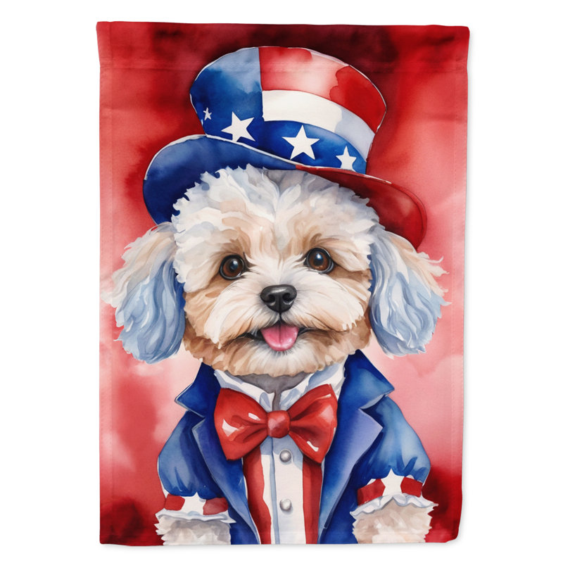 Drapeau patriotique de la maison américaine, Maltipoo