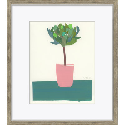 Still Life Series - Topiary Framed by Susan Hable