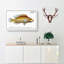 Little-Scaled Wrasse Fish by M.E. Bloch - Wrapped Canvas-55365211
