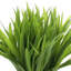 Fausse herbe Weatherhill en pot de fibres