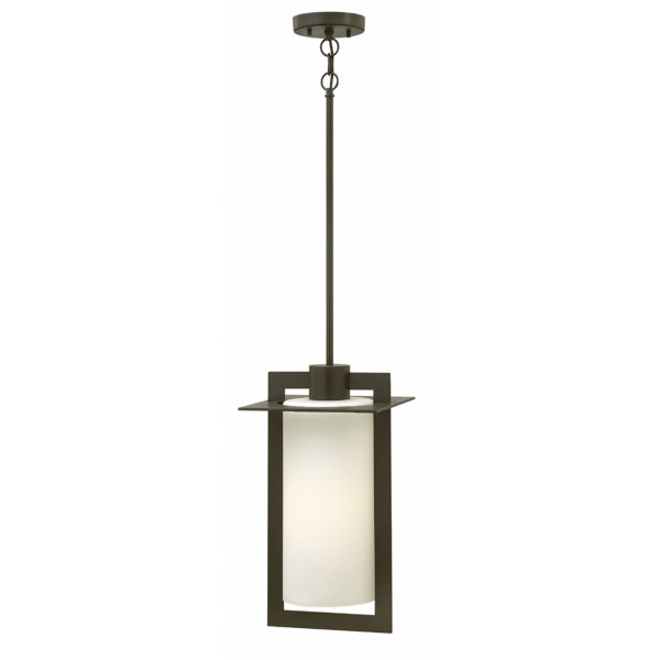 Hinkley Lighting Colfax 1 -Bulb 18.8" H Mains only Outdoor Hanging ...