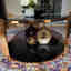 Photos des clients 2 de 2