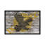 « eagle soleil », impression sur toile tendue-18415633-74287155-74287156