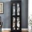 Bois noir éclairé - rangement en verre encadré avec charnière, tablettes réglables, installation à six niveaux pour les objets de collection dans la maison, éclairage de l'armoire, structure, étagères à vin et salon