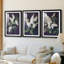 FLORAL Series CCXLIV - Impression encadrée de qualité supérieure sur mesure mat - 3 pièces-412272974-412272972