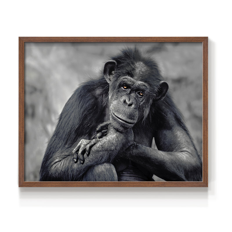 Captivated -Framed Print - Restickable, 22" H x 28" W, Walnut