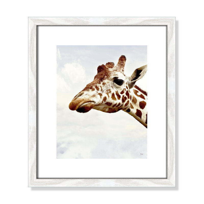 Grumpy par Nan - reproduction de photo sur papier encadrée, H 15 po x l 13 po x P 0,88 po, Cadre blanc
