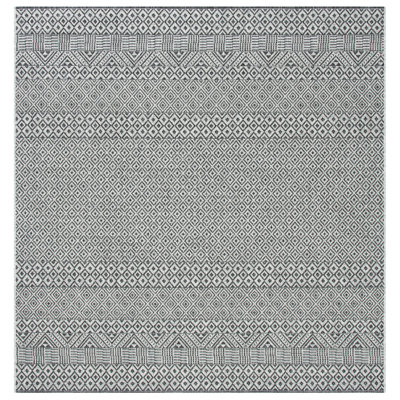 Tapis d'intérieur / extérieur Delacruz Performance Southwestern