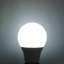 A60 Globe LED E27 12W Bulb 5PK-61471541