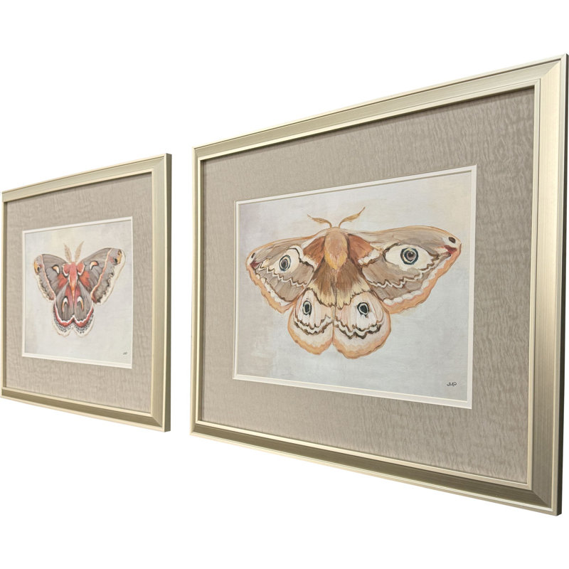 «Forest Moth», art encadré