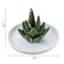 Ceramic Dish Ring Holder