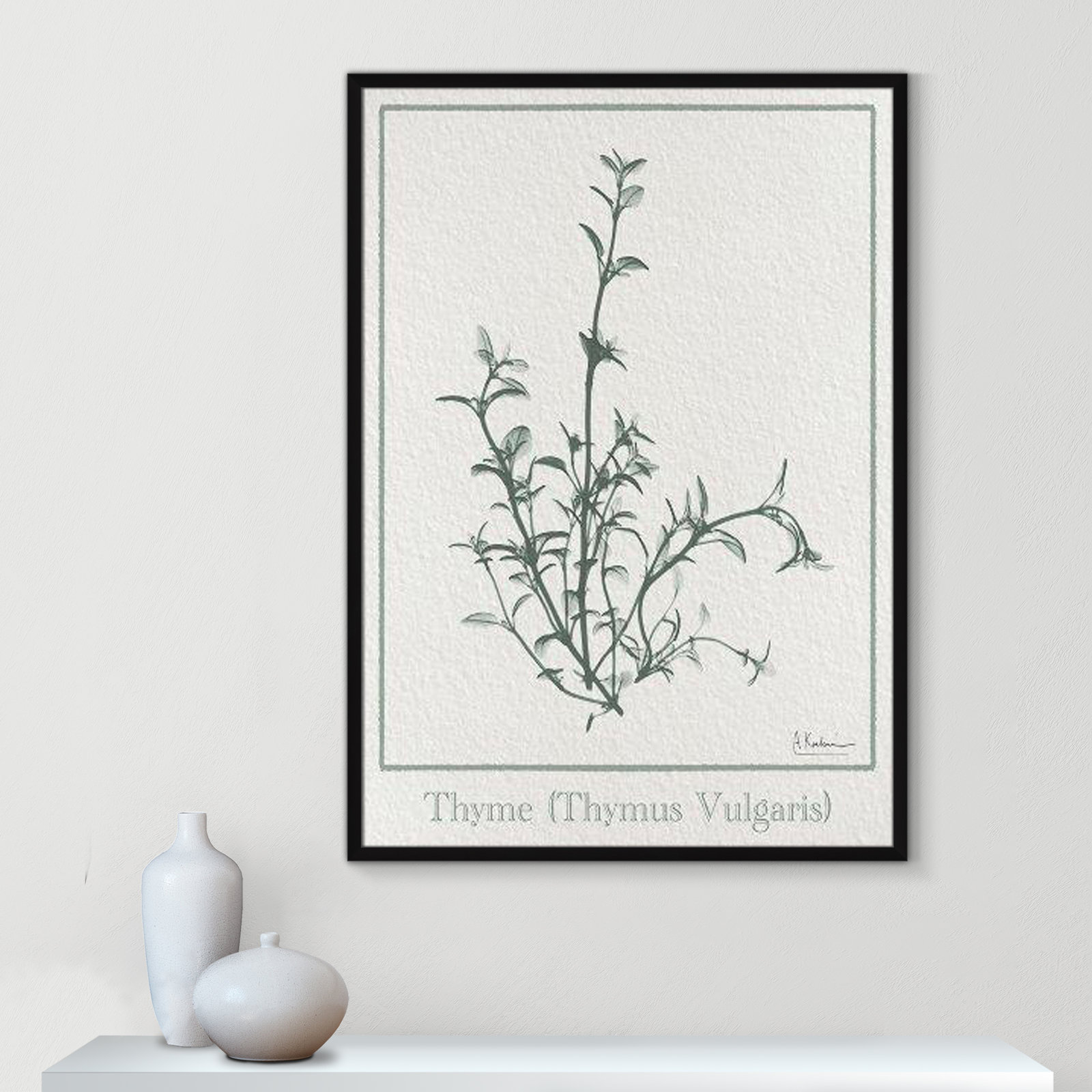 Jeanette "Thymus Vulgaris" Print, 41.5" H x 29.5" W x 1.25" D, Satin Black Framed Paper
