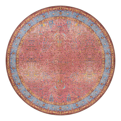 Indoor/Outdoor Traditional Area Rug