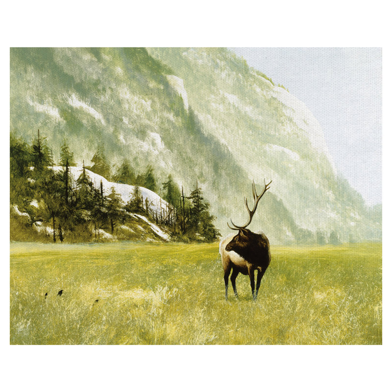 «Morning Call Of An Elk», reproduction sur toile tendue