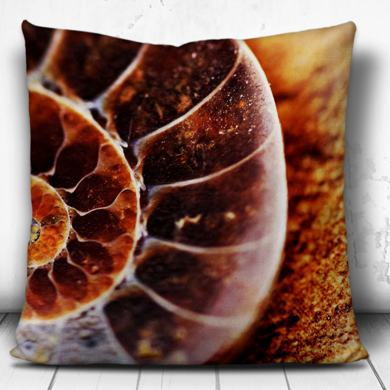 Shell Seashell Square, White