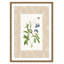 «Botanical Plate I Print» par Susan Jill-1114116630-1114116678-1114116683