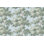 Rouleau de papier peint L 33 pi x l 20,87 po Raphael