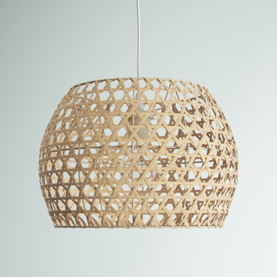 Seth 1 - Light Cage Pendant